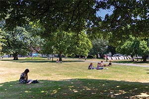 Oceana House Gallery